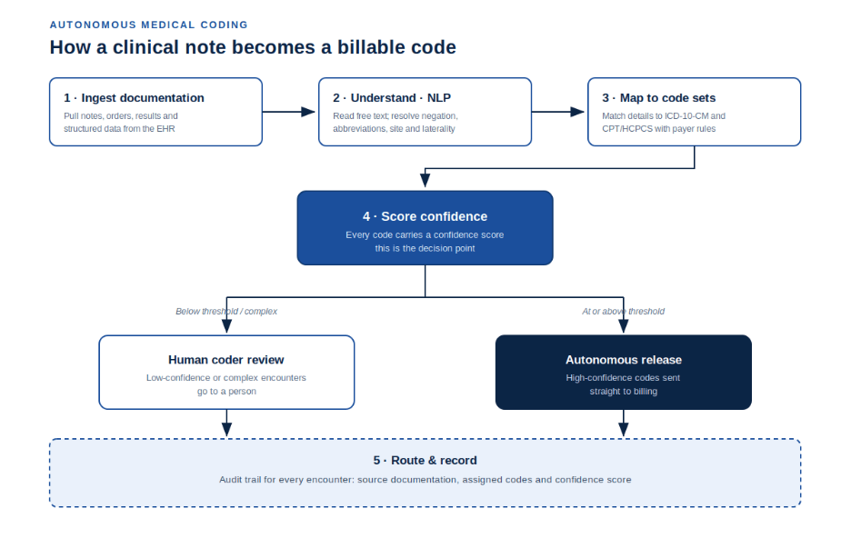Pipeline diagram showing how AI turns a clinical note into a billable code in five stages: ingest the documentation from the EHR, understand the language with natural language processing, map to ICD and CPT code sets, and score confidence. At the confidence step the flow forks: high-confidence encounters release automatically to billing, while low-confidence or complex charts route to a human coder. Both paths feed into an audit trail that records every decision.