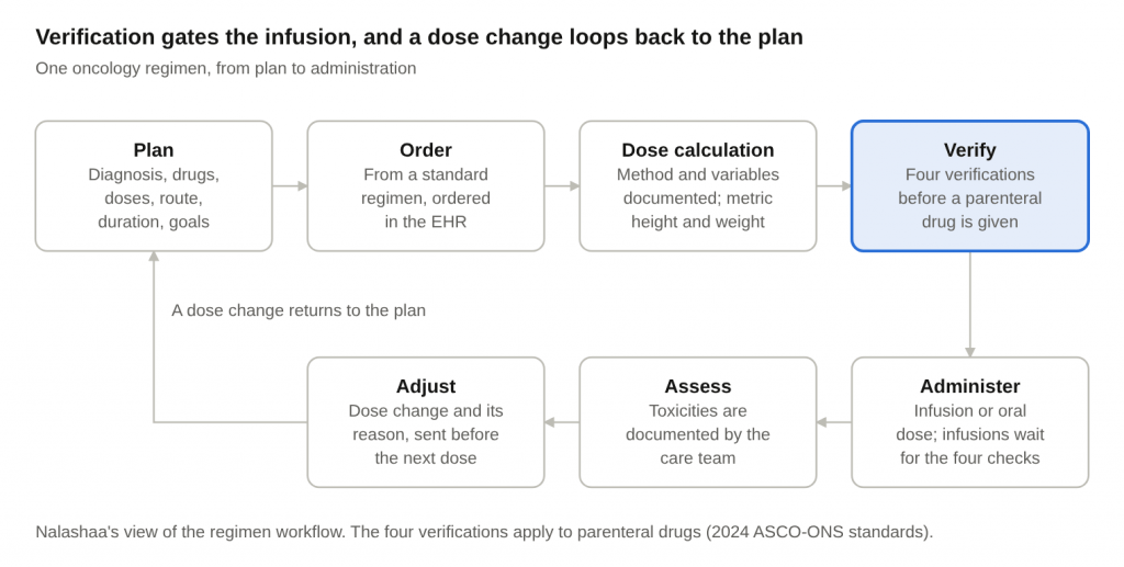 Flow diagram of one regimen: plan, order, dose calculation, verify, administer, assess and adjust, with a dose change looping back to the plan and the verify step highlighted.